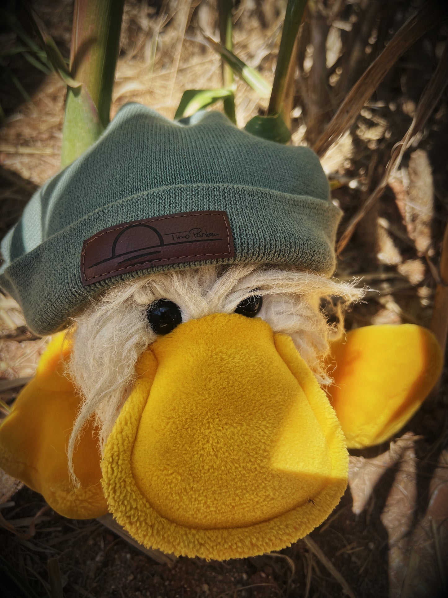Classic Beanie