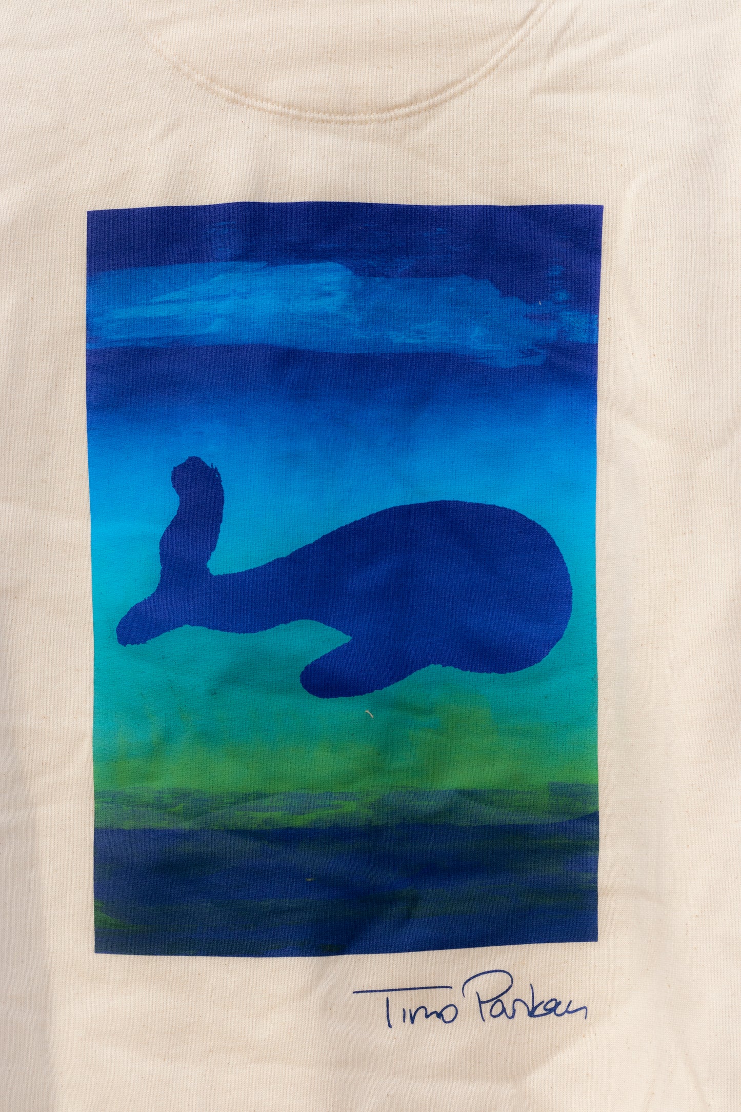 Hoodie 'Sound of the Ocean' (raw-white)